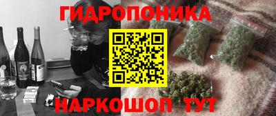 сатива Нальчик